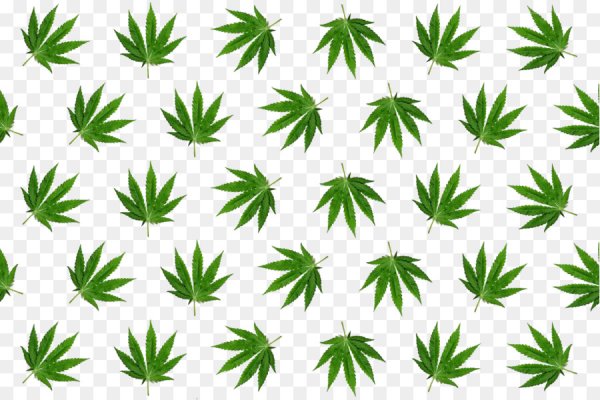 Кракен маркетплейс kr2web in площадка