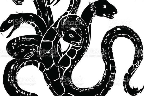 Kraken рабочий