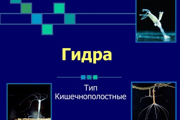 Сайт кракен через тор