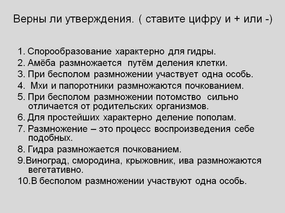 Даркнет заказ