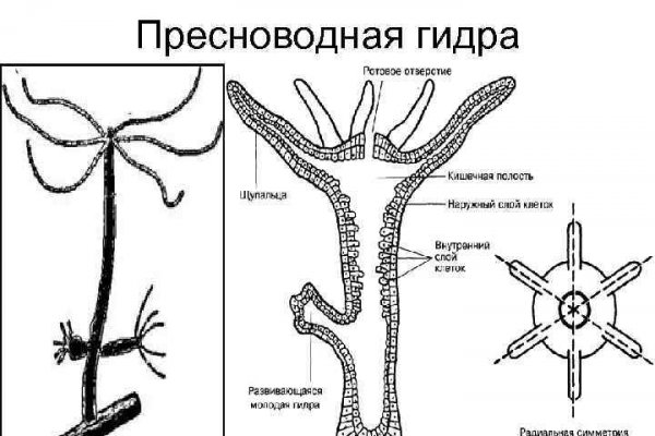 Кракен как проверить зеркало
