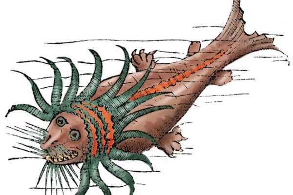 Kraken kraken link24 info