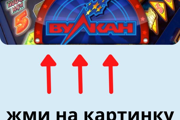 Гидра и кракен