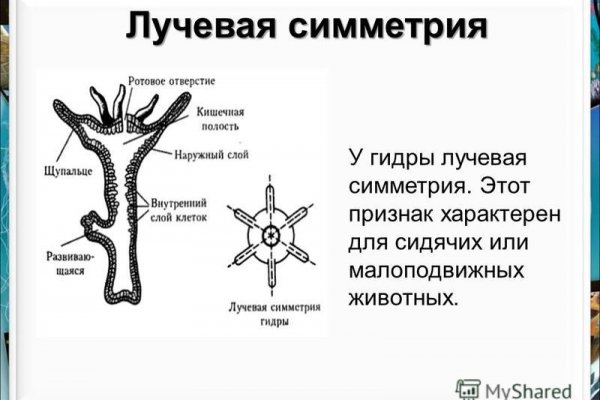 Кракен маркетплейс как зайти
