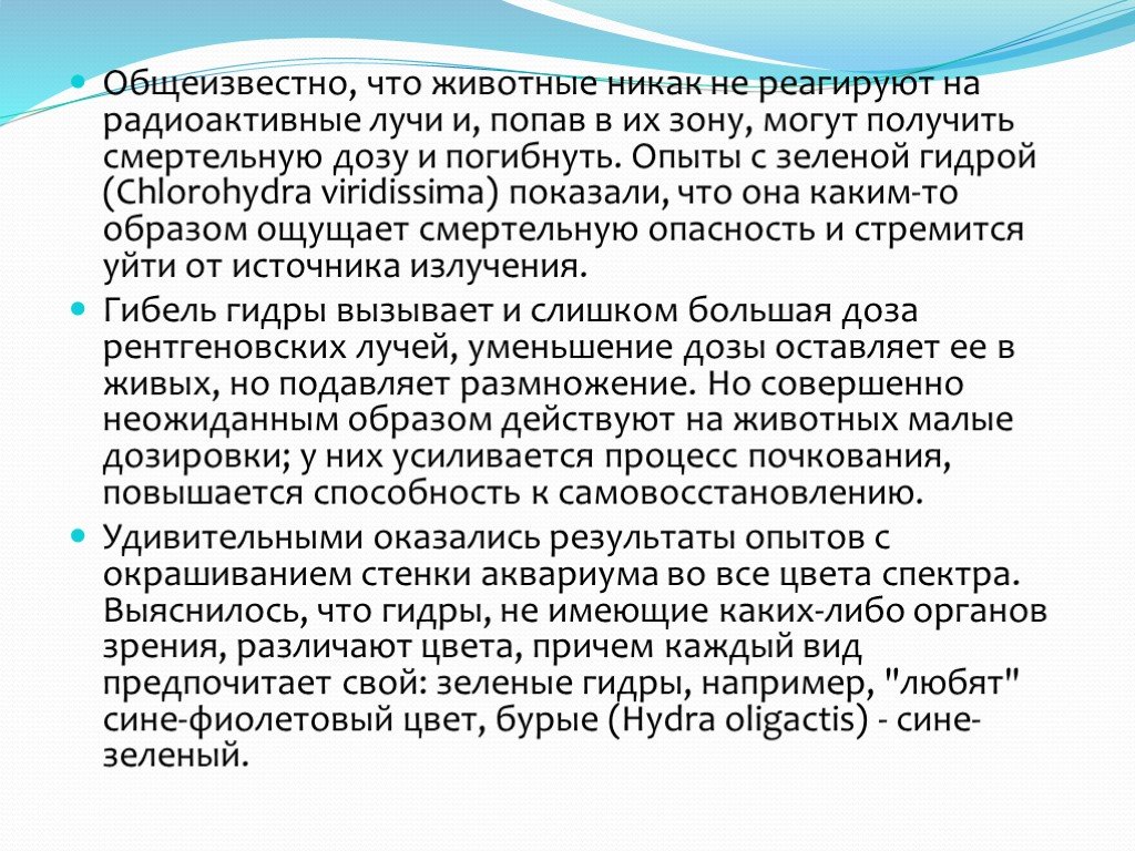 Гидра даркнет рынок