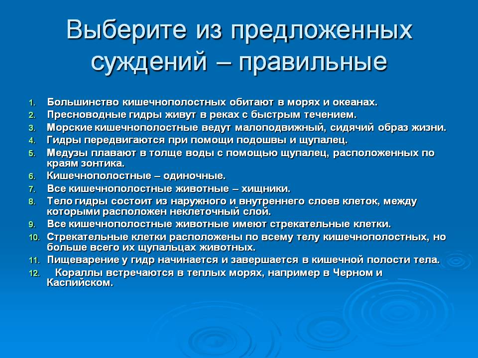 Не могу зайти на сайт кракен